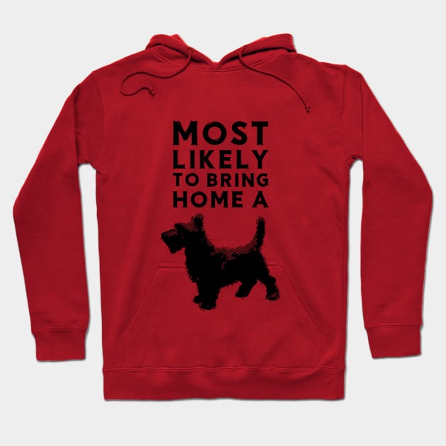 Most likely to bring home a scottish terrier (scotty) Hoodie by chapter2